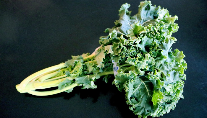 辅助神器“微乐四川麻将小程序必赢神器!分享用挂教程 辅助神器“微乐四川麻将小程序必赢神器!分享用挂教程