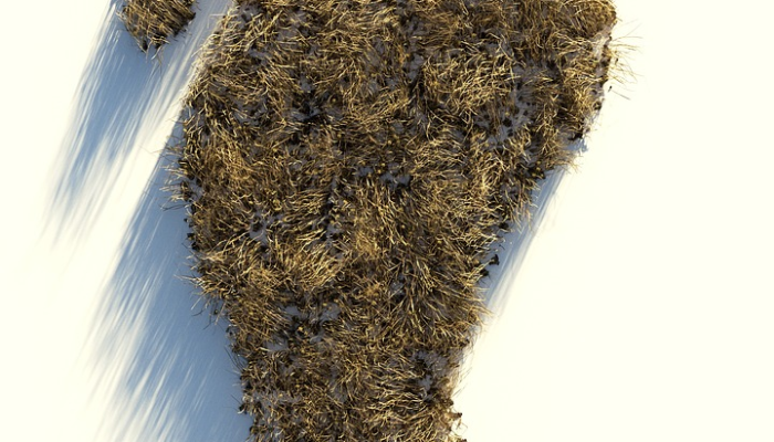 以色列袭击加沙地带,美国承诺否决另一项联合国停火决议 以色列袭击加沙地带,美国承诺否决另一项联合国停火决议