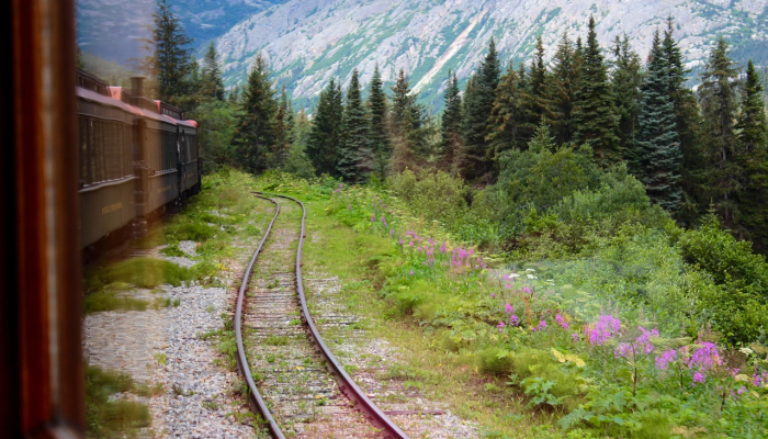 森林大火袭击了北伊洛科斯风景秀丽的索索纳-阿帕约公路上的山脉 森林大火袭击了北伊洛科斯风景秀丽的索索纳-阿帕约公路上的山脉