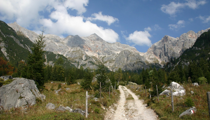 辅助神器“欢喜广西麻将有挂吗”(曝光透视必备猫腻) 辅助神器“欢喜广西麻将有挂吗”(曝光透视必备猫腻)