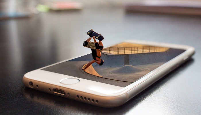 P.E.I.郁金香盛开| CTV新闻 P.E.I.郁金香盛开| CTV新闻