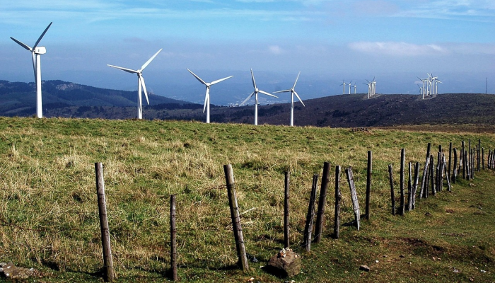 玩家必看教程“蛮籽麻将重庆有挂吗”开挂(透视)辅助教程 玩家必看教程“蛮籽麻将重庆有挂吗”开挂(透视)辅助教程
