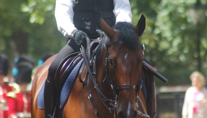 特朗普在一起刑事案件中受到限制，称证人不应该在另一起案件中作证