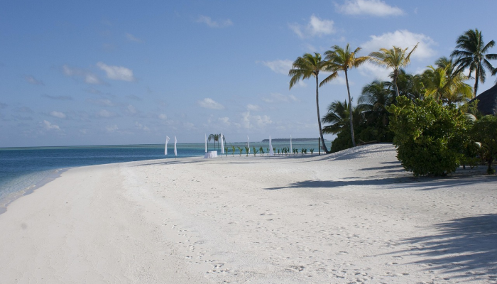 当5.1级地震袭击马尔马拉海的格姆里克湾时，土耳其居民在伊斯坦布尔发出警报