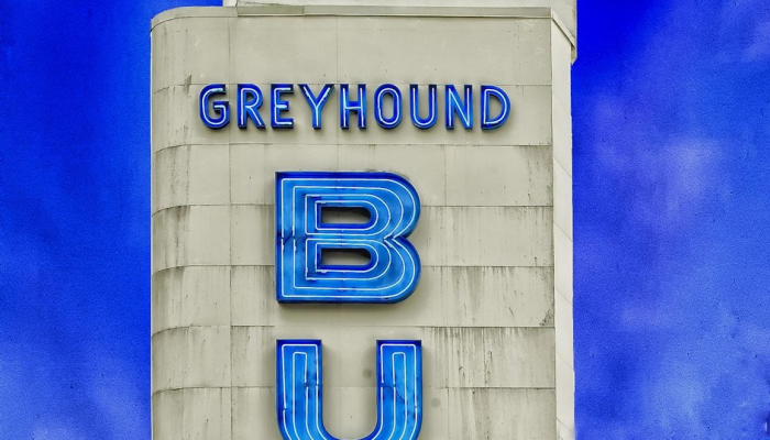 美国运输安全管理局(TSA)在《每日新闻》上表示，去年试图携带枪支上飞机的人比以往任何时候都多