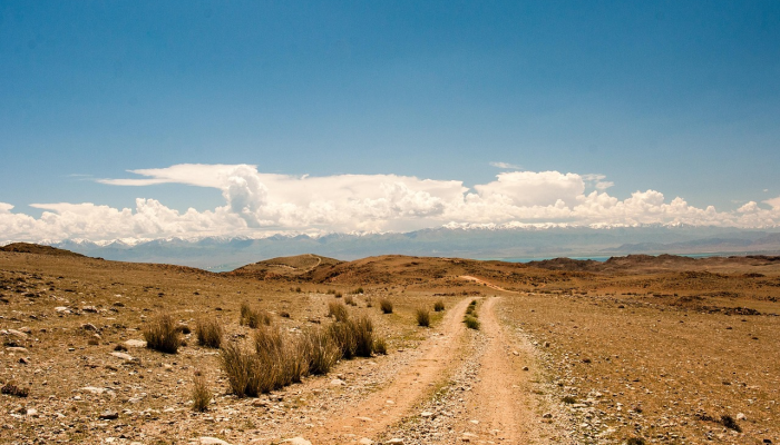 北卡罗来纳州的过山车在发生大裂缝后重新开放,该州对此进行了调查 北卡罗来纳州的过山车在发生大裂缝后重新开放,该州对此进行了调查