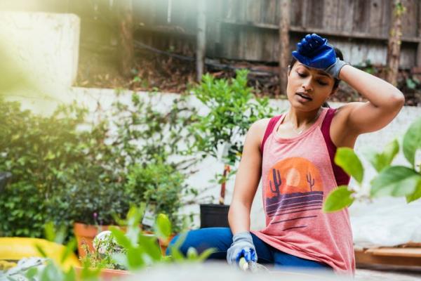 最新教你“微壳跑胡子辅助器免费安装”(曝光透视必备猫腻)