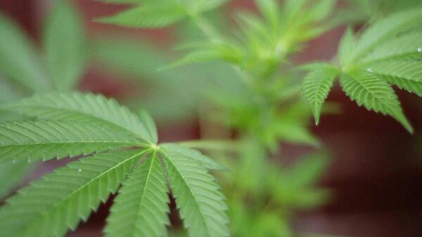 Caldwell keeps card hopes alive with hot finish in Spain