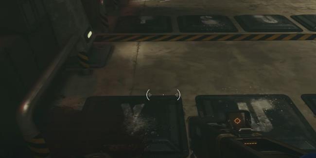 Mantis Floor Puzzle Row Five Starfield