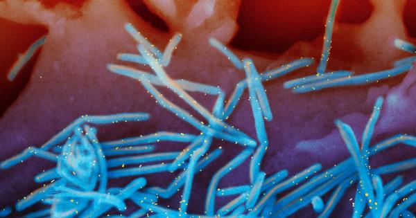 推荐一款”天天麻将外卦神器下载安装微信!详细分享装挂步骤 推荐一款”天天麻将外卦神器下载安装微信!详细分享装挂步骤