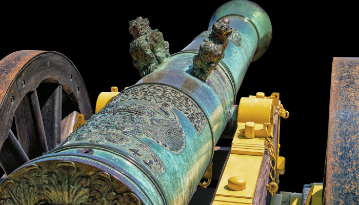 萨古鲁写道：为土壤和气候行动向枪支和子弹征税