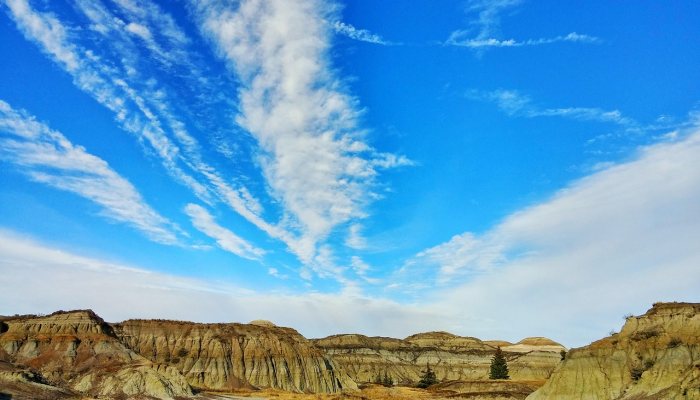 辅助神器“蜀山麻将开挂神器”(原来确实是有挂) 辅助神器“蜀山麻将开挂神器”(原来确实是有挂)