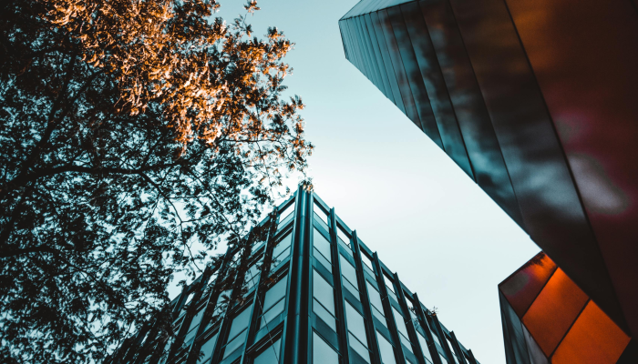 卡塔尔和乌克兰:建立在多种伙伴关系和共同利益基础上的牢固关系 卡塔尔和乌克兰:建立在多种伙伴关系和共同利益基础上的牢固关系