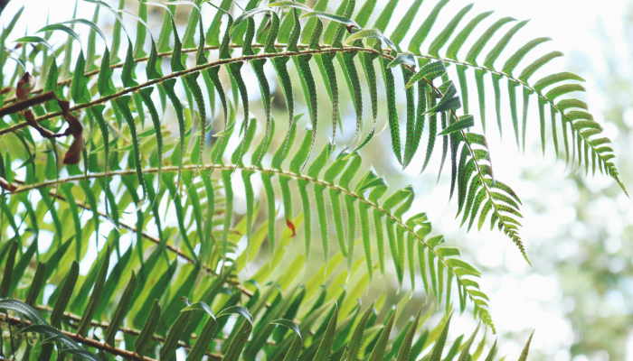 万能开挂辅助“新海贝之城有挂吗”详细开挂玩法