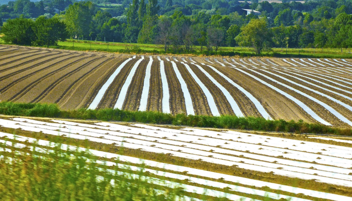 在吉米·卡特图书馆,游客们向这位第39任总统致敬 在吉米·卡特图书馆,游客们向这位第39任总统致敬