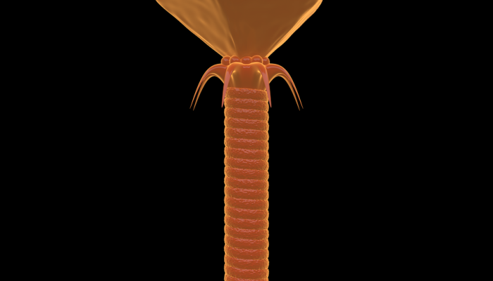 DNA折纸纳米涡轮：纳米马达革命的先驱