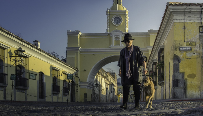 拉丁美洲和加勒比使节参加卡塔尔植树活动