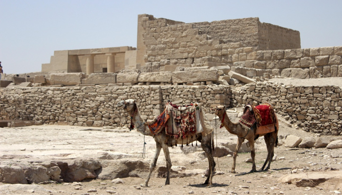 埃及政府想要清除一座历史悠久的墓地 埃及政府想要清除一座历史悠久的墓地