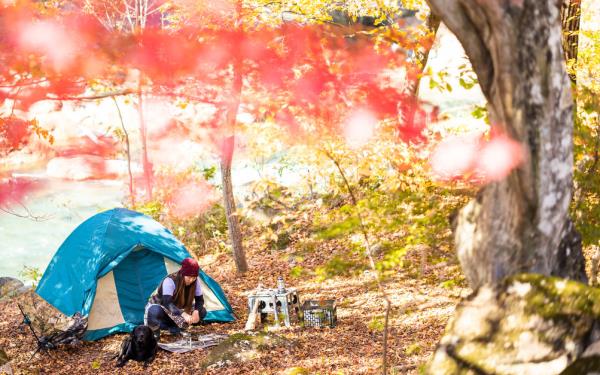 辅助神器“大圣牛牛房卡有挂吗”(曝光透视必备猫腻) 辅助神器“大圣牛牛房卡有挂吗”(曝光透视必备猫腻)