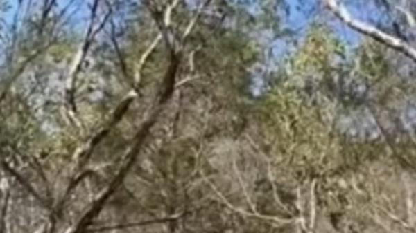 玩家必看教程“鸿狐大厅怎么开挂!详细分享装挂步骤 玩家必看教程“鸿狐大厅怎么开挂!详细分享装挂步骤