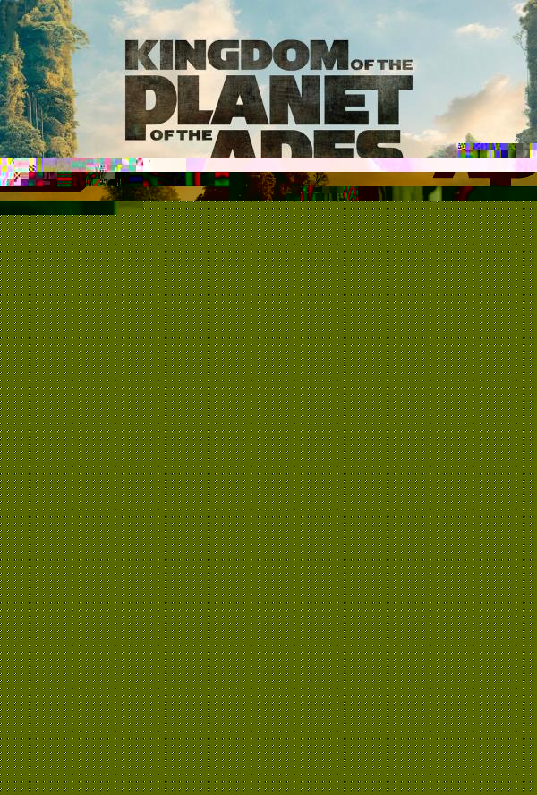 炎症和维生素B12:揭开隐藏的联系 炎症和维生素B12:揭开隐藏的联系