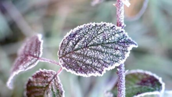 Looking ahead to the weekend, it is expected to become increasingly colder "with frost and ice and potentially some wintry precipitation". File picture: Denis Minihane