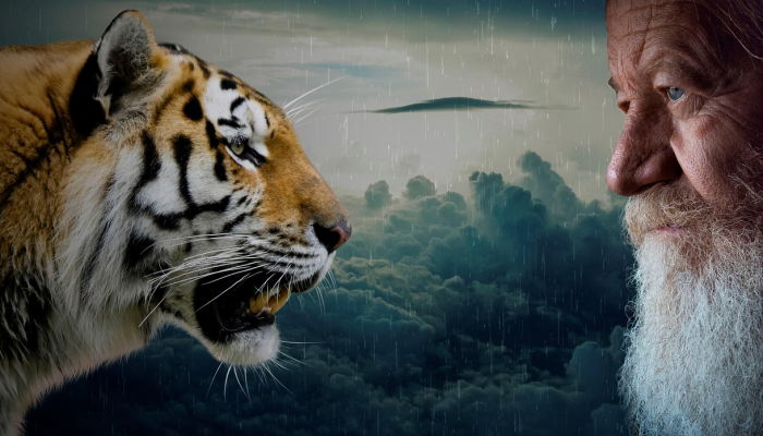 时间之轮佩兰演员解释了他与狗表演者的深厚感情:“你真的骗不了这一点” 时间之轮佩兰演员解释了他与狗表演者的深厚感情:“你真的骗不了这一点”