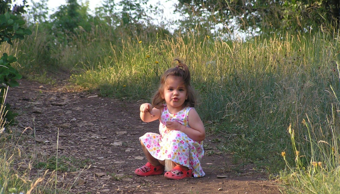 甜蜜科学:吃草莓有助于预防痴呆和抑郁症 甜蜜科学:吃草莓有助于预防痴呆和抑郁症