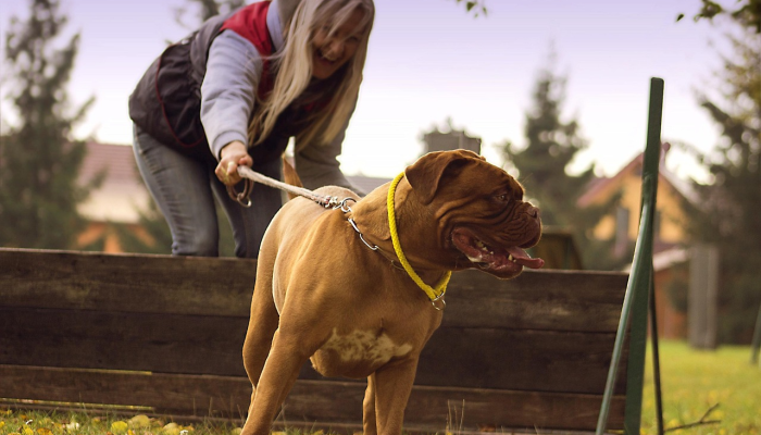 万能开挂辅助“哈狗游戏开挂方法”分享用挂教程 万能开挂辅助“哈狗游戏开挂方法”分享用挂教程