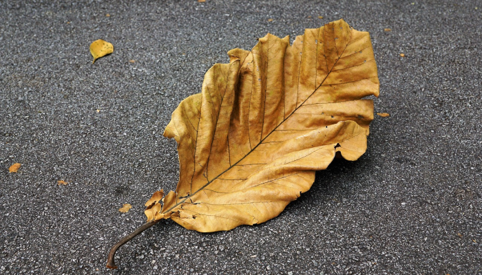 1分钟学会“白金岛跑得快有没有挂!详细分享装挂步骤 1分钟学会“白金岛跑得快有没有挂!详细分享装挂步骤
