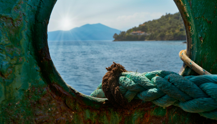 Twitter认证用户可能很快就必须每月支付费用,才能在埃隆·马斯克(Elon Musk)的领导下保持徽章 Twitter认证用户可能很快就必须每月支付费用,才能在埃隆·马斯克(Elon Musk)的领导下保持徽章