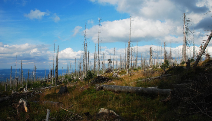 玩家必看教程“中至上饶打炸如何赢钱!分享用挂教程 玩家必看教程“中至上饶打炸如何赢钱!分享用挂教程