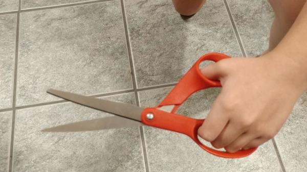 观察：国际会计准则官员对卡车司机的“aukaat”言论遭到强烈反对