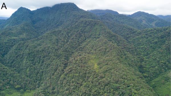 玩家必看教程“打哈儿麻将有挂没得!分享用挂教程