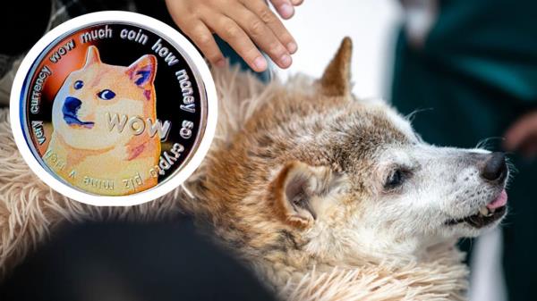 推荐一款”老友漳州棋牌漳浦麻将把把输”(曝光透视必备猫腻) 推荐一款”老友漳州棋牌漳浦麻将把把输”(曝光透视必备猫腻)