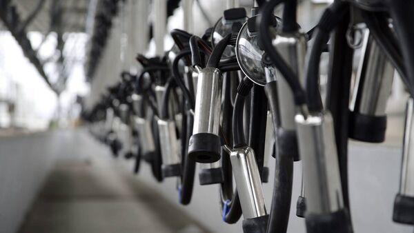 Processors hold October milk prices