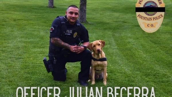 可用版本“七彩云南游戏有挂吗!详细分享装挂步骤 可用版本“七彩云南游戏有挂吗!详细分享装挂步骤