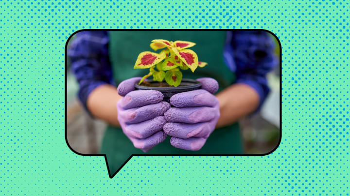 “防患于未然”从何而来？