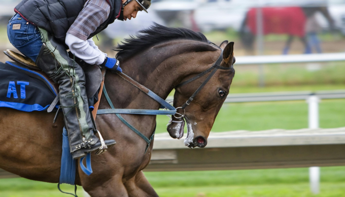 杰克逊供水系统离有新主人又近了一步 杰克逊供水系统离有新主人又近了一步