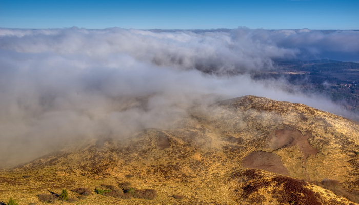 法国将在冬季前延长其最后一批燃煤电厂的寿命