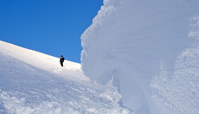 本周费城会有多冷,谁下的雪最多? 本周费城会有多冷,谁下的雪最多?