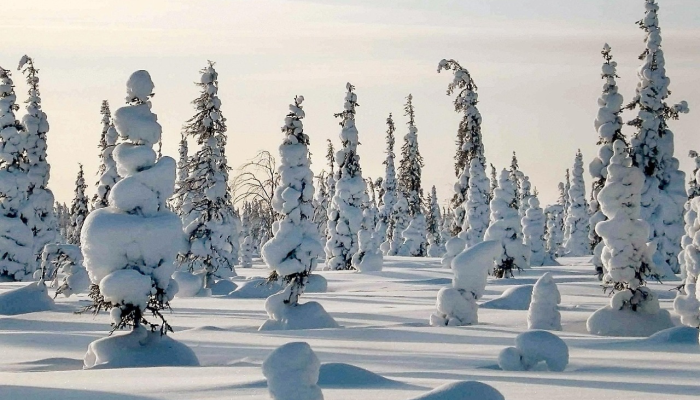 推荐一款”丰城呱呱棋牌双剑摸奖规律”其实确实有挂 推荐一款”丰城呱呱棋牌双剑摸奖规律”其实确实有挂
