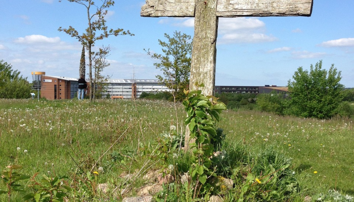 吉米·加罗波洛和雅各布·迈耶斯破坏了肖恩·佩顿在丹佛的首秀,突袭者队七连胜野马队 吉米·加罗波洛和雅各布·迈耶斯破坏了肖恩·佩顿在丹佛的首秀,突袭者队七连胜野马队