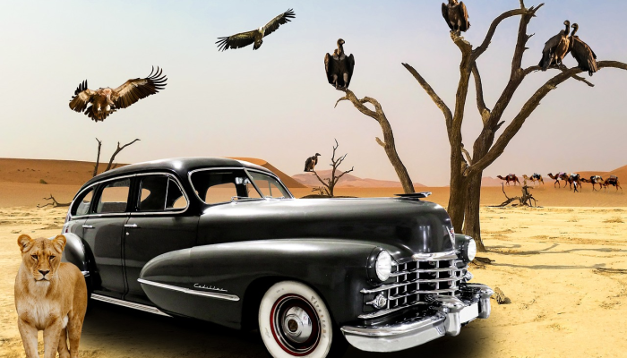 东维萨亚斯PNP主任:如果你看到我们做错了什么就报告我们 东维萨亚斯PNP主任:如果你看到我们做错了什么就报告我们