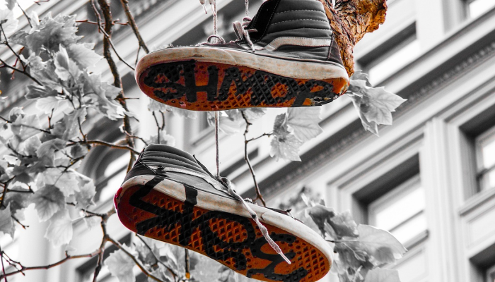 最新教你“博雅竞技透视”其实确实有挂 最新教你“博雅竞技透视”其实确实有挂