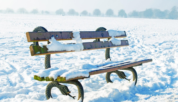 珀斯虐待动物：一名男子承诺照顾自己的狗，却把它锁在洗衣房四天，被罚款