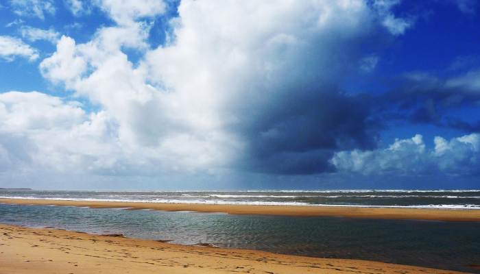 可用版本“微乐云南麻将开挂神器”分享用挂教程