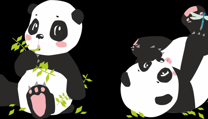 熊把人扔过车库,咬他的头:“我被揍了一顿” 熊把人扔过车库,咬他的头:“我被揍了一顿”