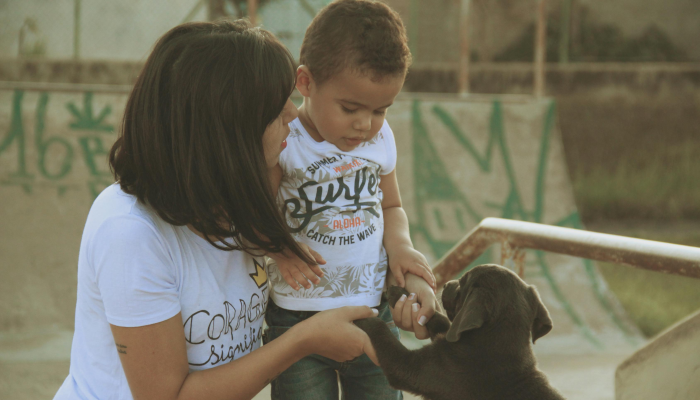 教程辅助!“友友联盟牛牛有挂吗!详细分享装挂步骤