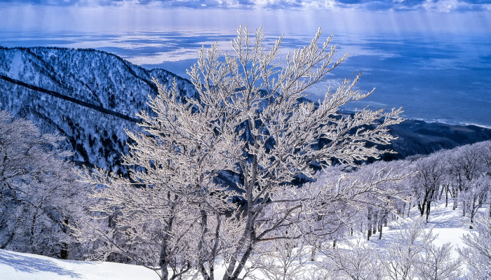 玩家必看教程“微乐江西麻将怎样免费开挂!分享用挂教程 玩家必看教程“微乐江西麻将怎样免费开挂!分享用挂教程